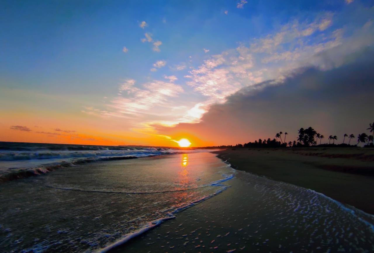 Sleeping Elephant Beach Resort Тангалла Экстерьер фото