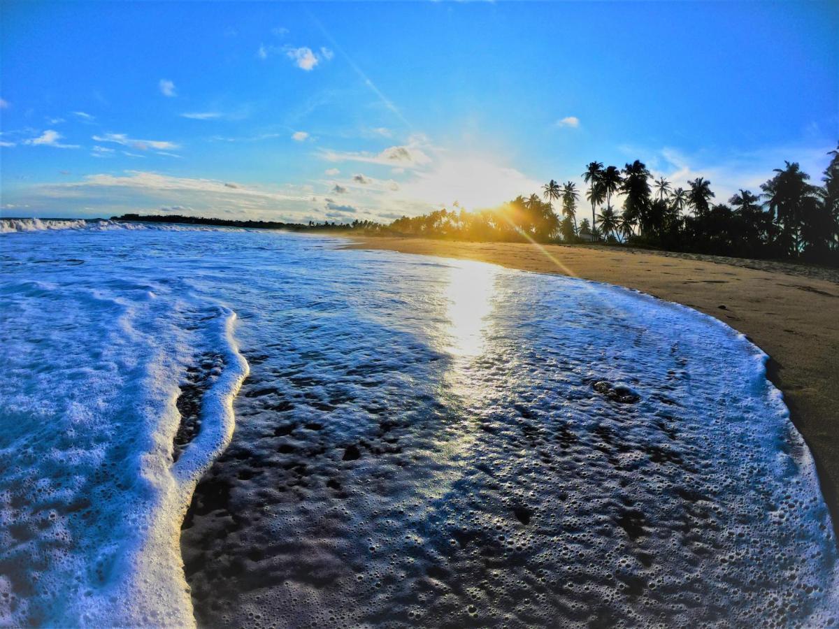 Sleeping Elephant Beach Resort Тангалла Экстерьер фото
