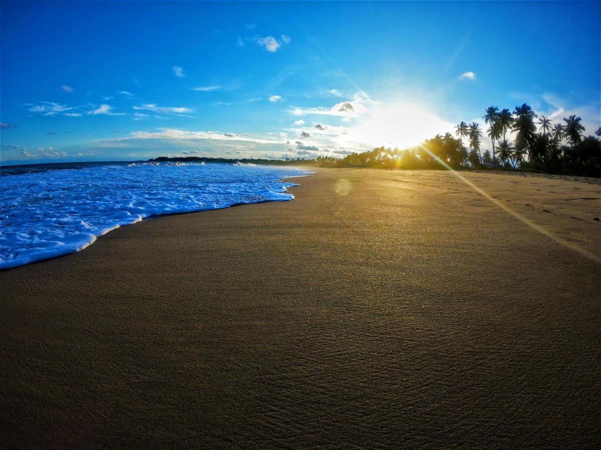 Sleeping Elephant Beach Resort Тангалла Экстерьер фото