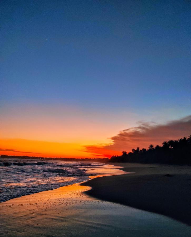 Sleeping Elephant Beach Resort Тангалла Экстерьер фото