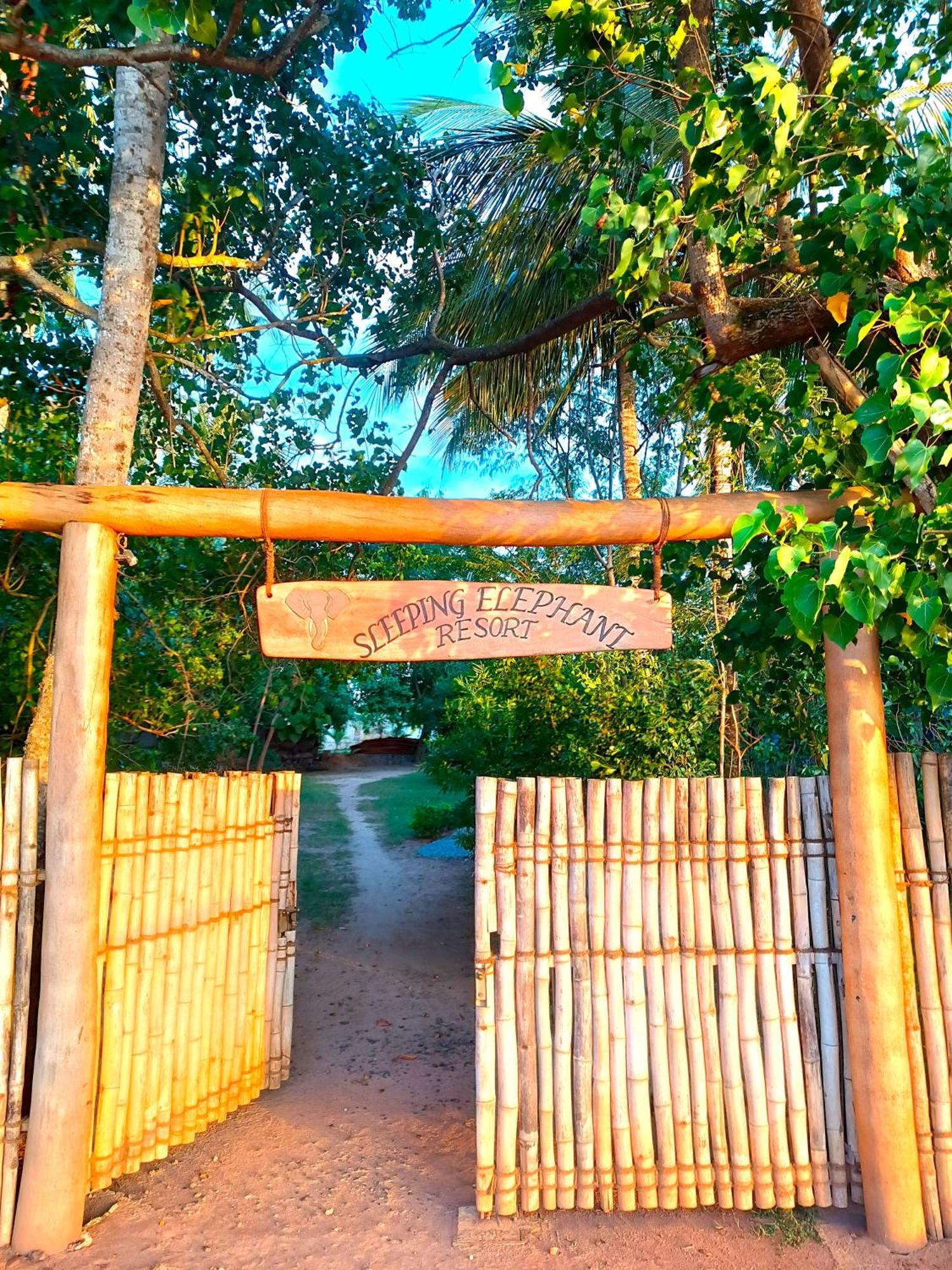 Sleeping Elephant Beach Resort Тангалла Экстерьер фото